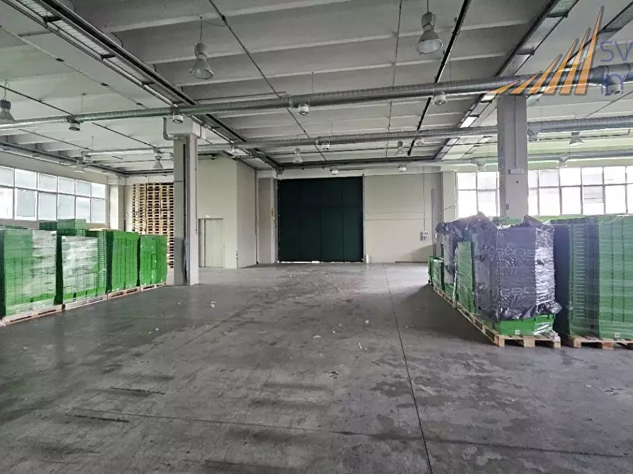 Immagine 3 di Capannone industriale in affitto  in Via Michelangelo Buonarroti 38 a Cologno Monzese