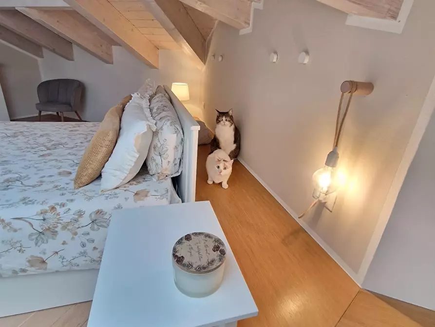 Immagine 9 di Appartamento in vendita  in CAMPO MARCONI 76 a Chioggia