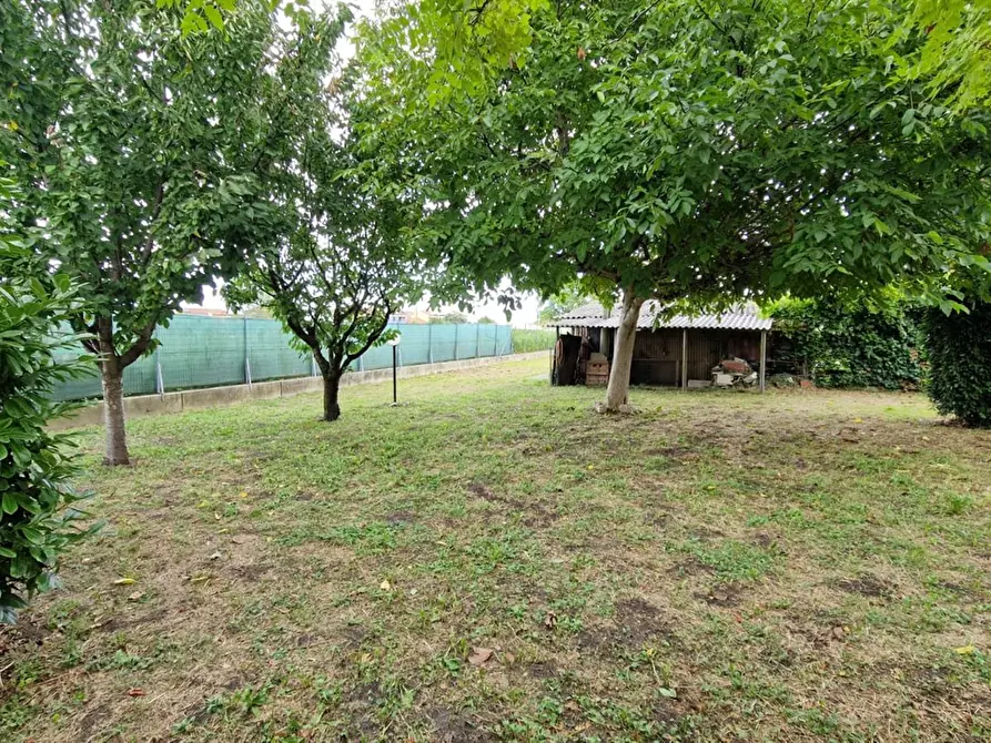 Immagine 6 di Casa semindipendente in vendita  a Codevigo