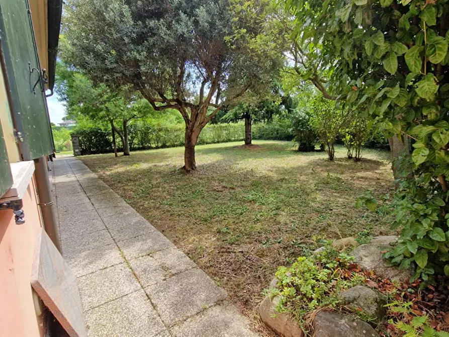 Immagine 2 di Casa semindipendente in vendita  a Codevigo