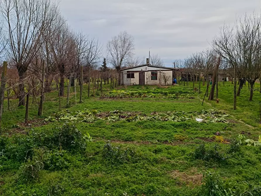Immagine 7 di Terreno agricolo in vendita  in VIA PASCOLON a Chioggia