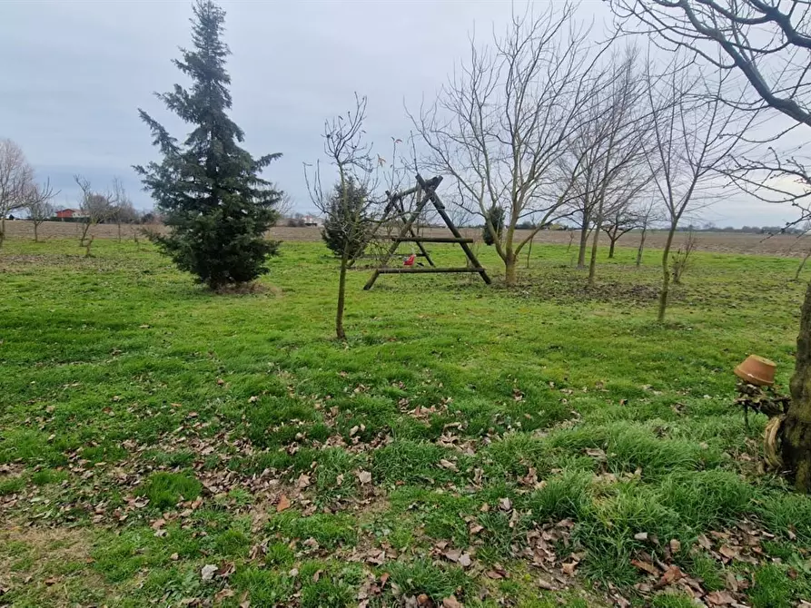 Immagine 5 di Terreno agricolo in vendita  in VIA PASCOLON a Chioggia