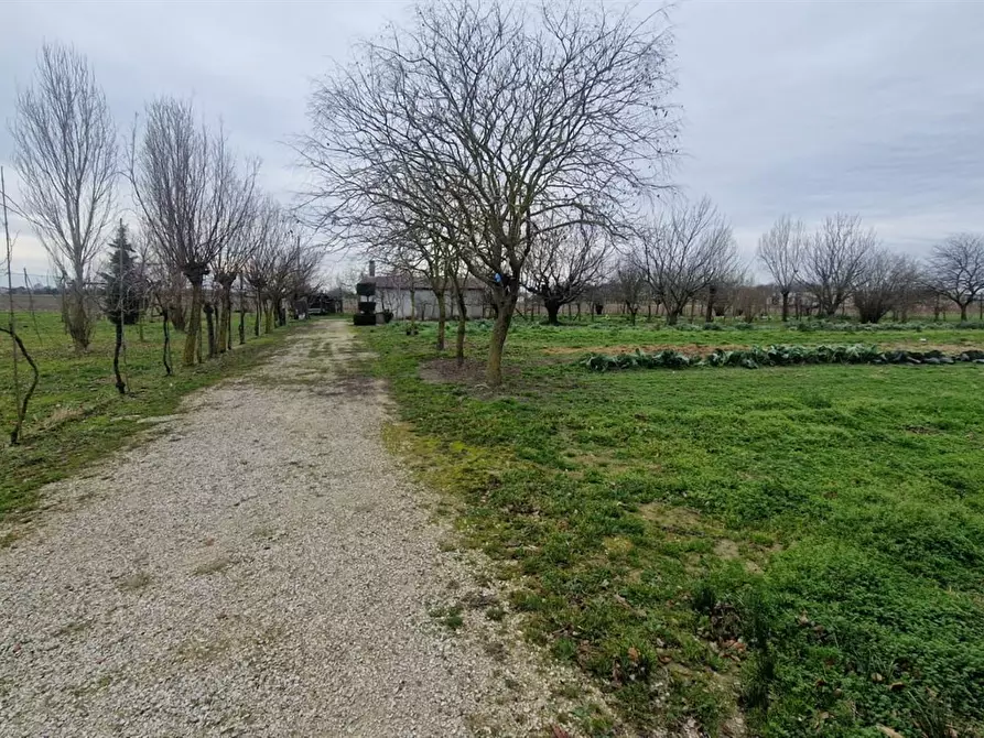 Immagine 2 di Terreno agricolo in vendita  in VIA PASCOLON a Chioggia