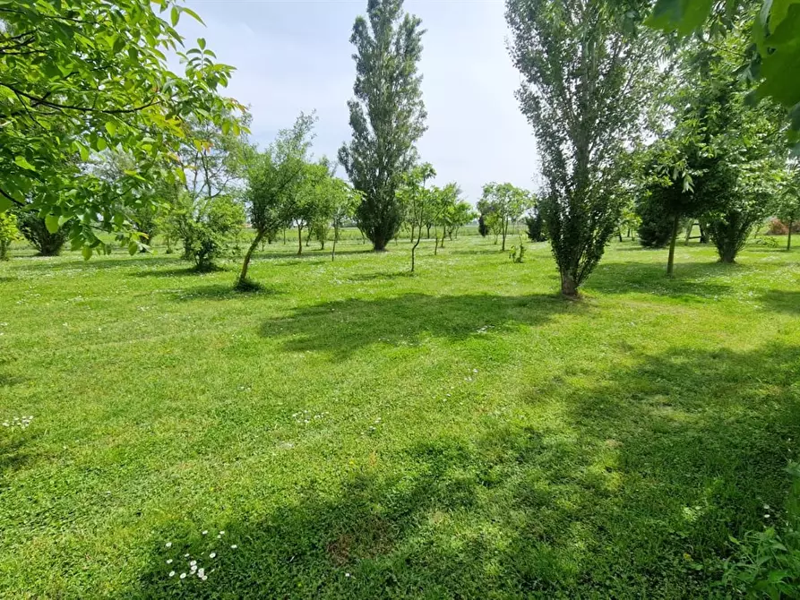 Immagine 4 di Terreno agricolo in vendita  in VIA PASCOLON a Chioggia