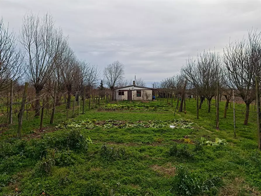 Immagine 9 di Terreno agricolo in vendita  in VIA PASCOLON a Chioggia