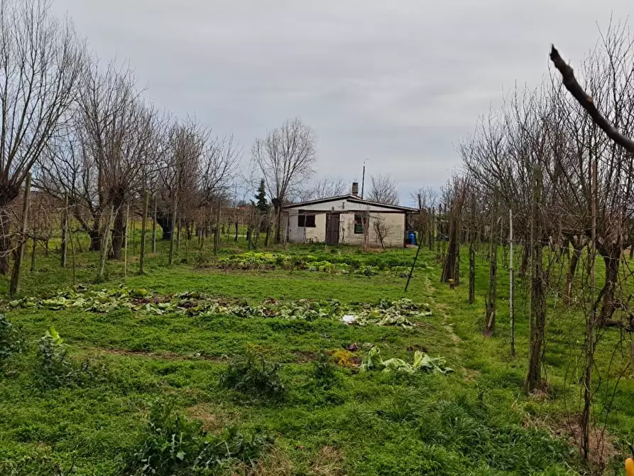Immagine 4 di Terreno agricolo in vendita  in VIA PASCOLON a Chioggia