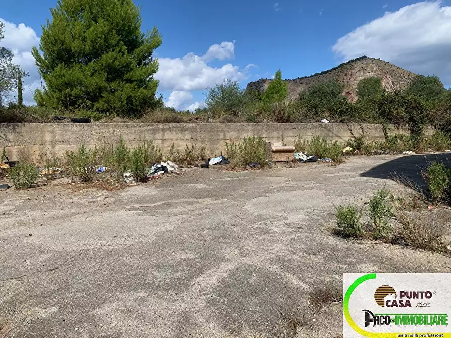 Immagine 3 di Terreno agricolo in affitto  in Strada Statale 113 a Bagheria