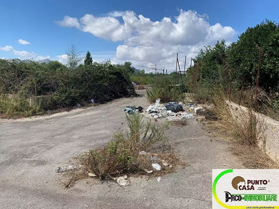 Immagine 1 di Terreno agricolo in affitto  in Strada Statale 113 a Bagheria