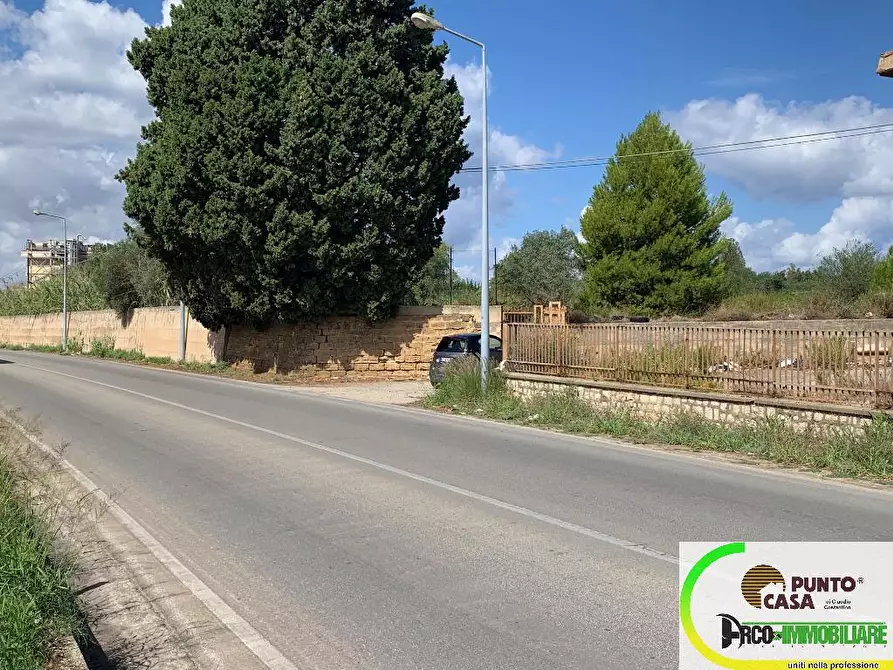 Immagine 6 di Terreno agricolo in affitto  in Strada Statale 113 a Bagheria