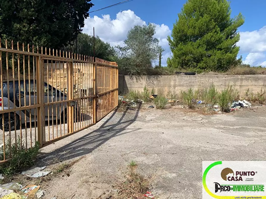 Immagine 4 di Terreno agricolo in affitto  in Strada Statale 113 a Bagheria