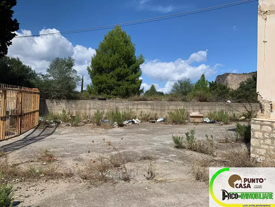 Immagine 2 di Terreno agricolo in affitto  in Strada Statale 113 a Bagheria