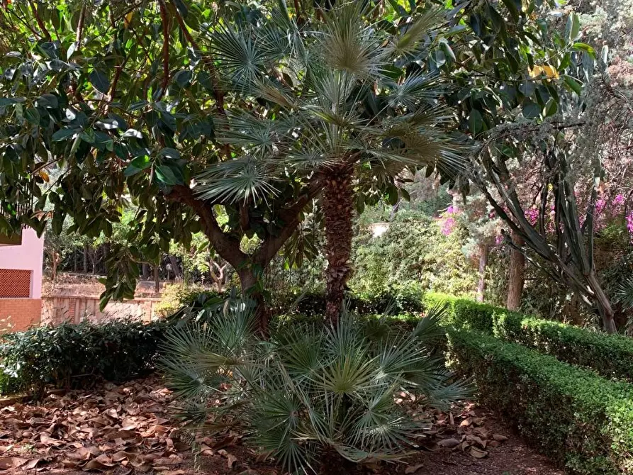 Immagine 1 di Villa in vendita  in Via Rombulo Pietro a Palermo