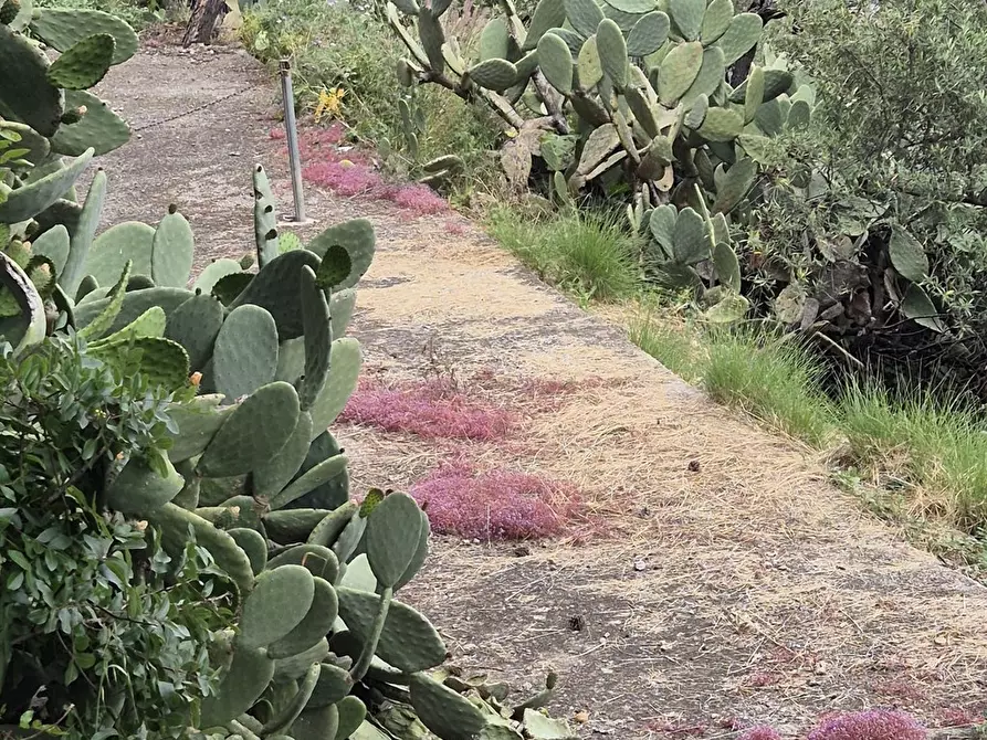 Immagine 9 di Terreno edificabile in vendita  in via regione siciliana a Monreale