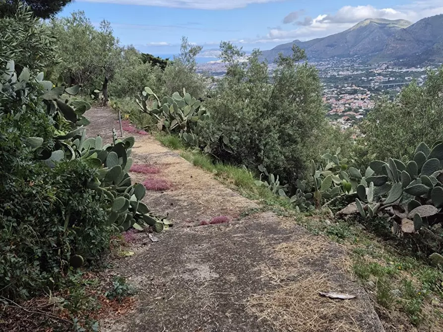 Immagine 8 di Terreno edificabile in vendita  in via regione siciliana a Monreale