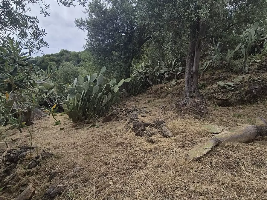 Immagine 4 di Terreno edificabile in vendita  in via regione siciliana a Monreale