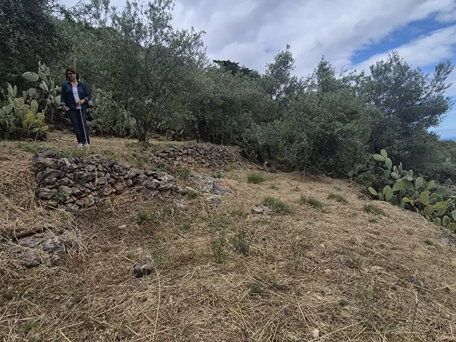 Immagine 5 di Terreno edificabile in vendita  in via regione siciliana a Monreale
