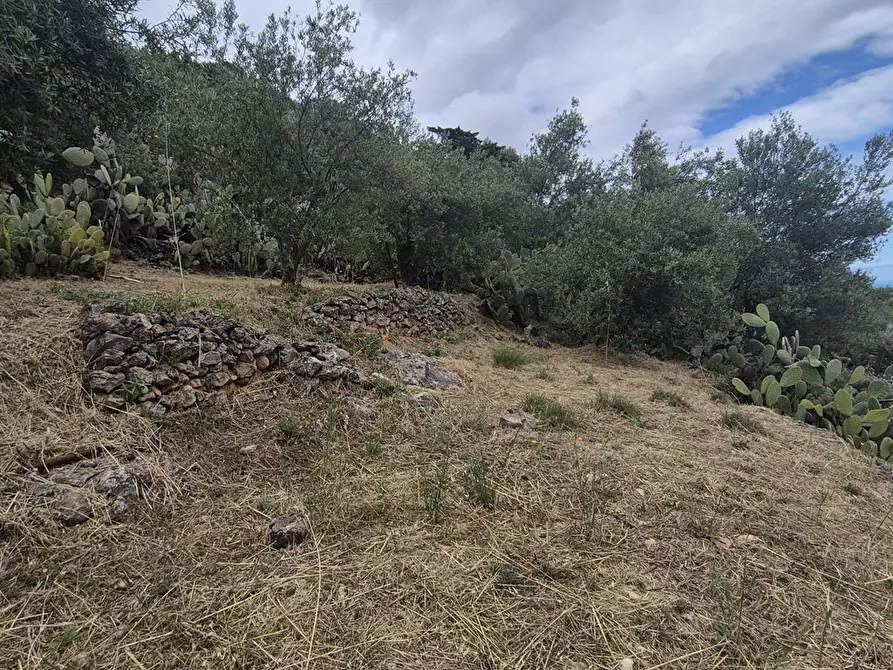 Immagine 3 di Terreno edificabile in vendita  in via regione siciliana a Monreale