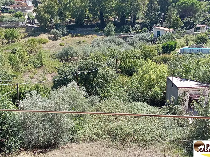 Immagine 3 di Casa bifamiliare in vendita  in Via delle Rose Caculla 13 a Monreale
