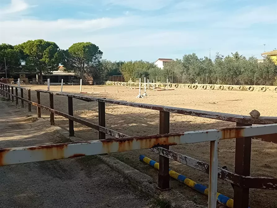 Immagine 2 di Terreno agricolo in vendita  a Carini