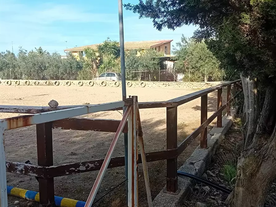 Immagine 1 di Terreno agricolo in affitto  a Carini