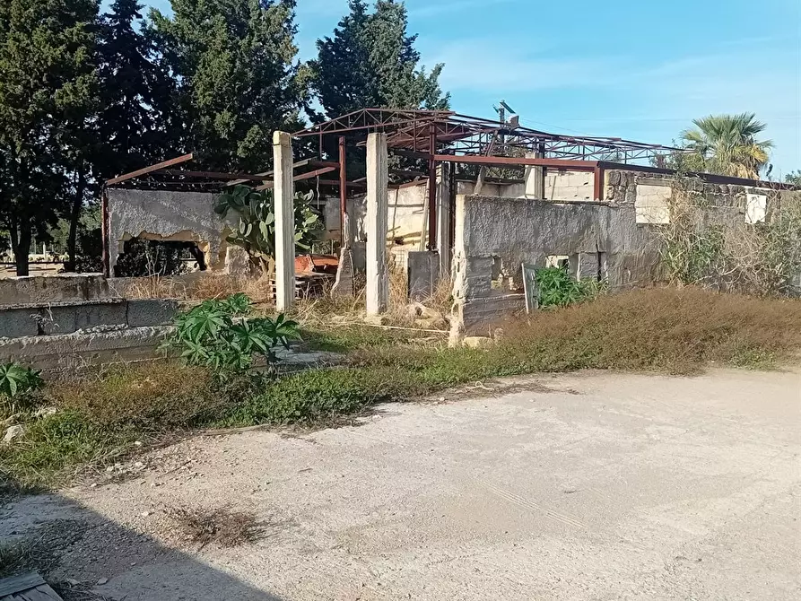 Immagine 8 di Terreno agricolo in affitto  a Carini
