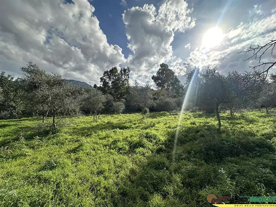 Immagine 1 di Villa in vendita  in Via Pezzingoli a Monreale