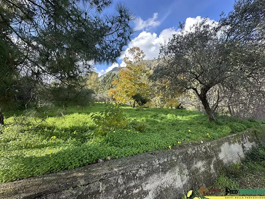 Immagine 9 di Villa in vendita  in Via Pezzingoli a Monreale