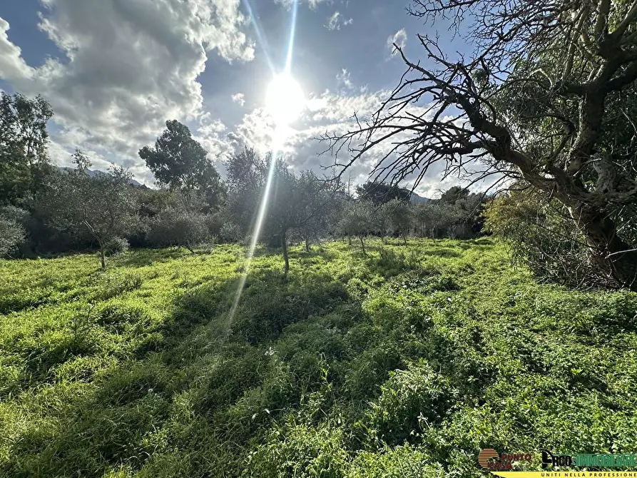 Immagine 2 di Villa in vendita  in Via Pezzingoli a Monreale