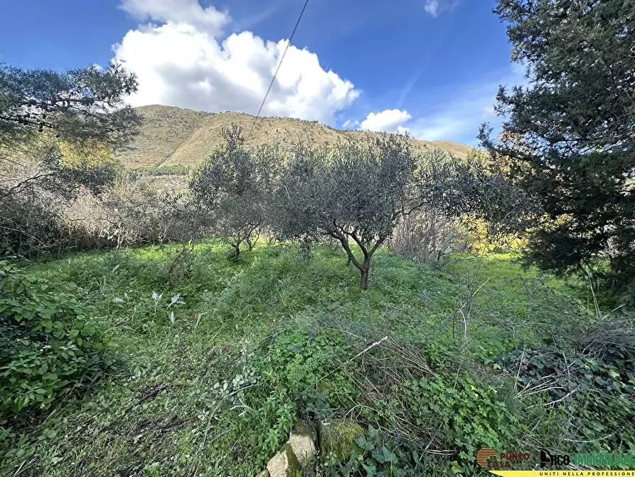 Immagine 3 di Villa in vendita  in Via Pezzingoli a Monreale