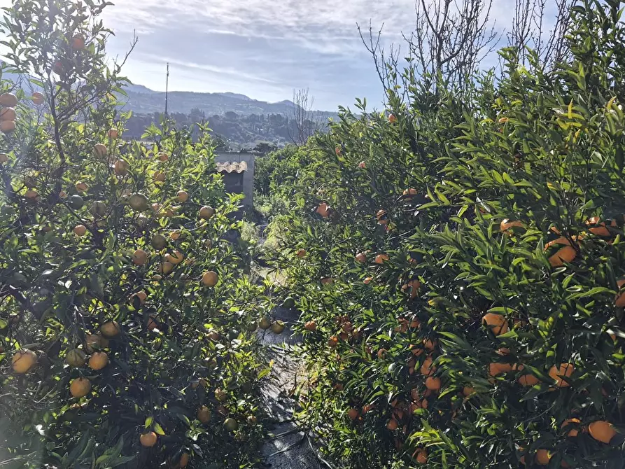 Immagine 6 di Casa indipendente in vendita  in Contrada Calzata, snc a Campofelice Di Roccella