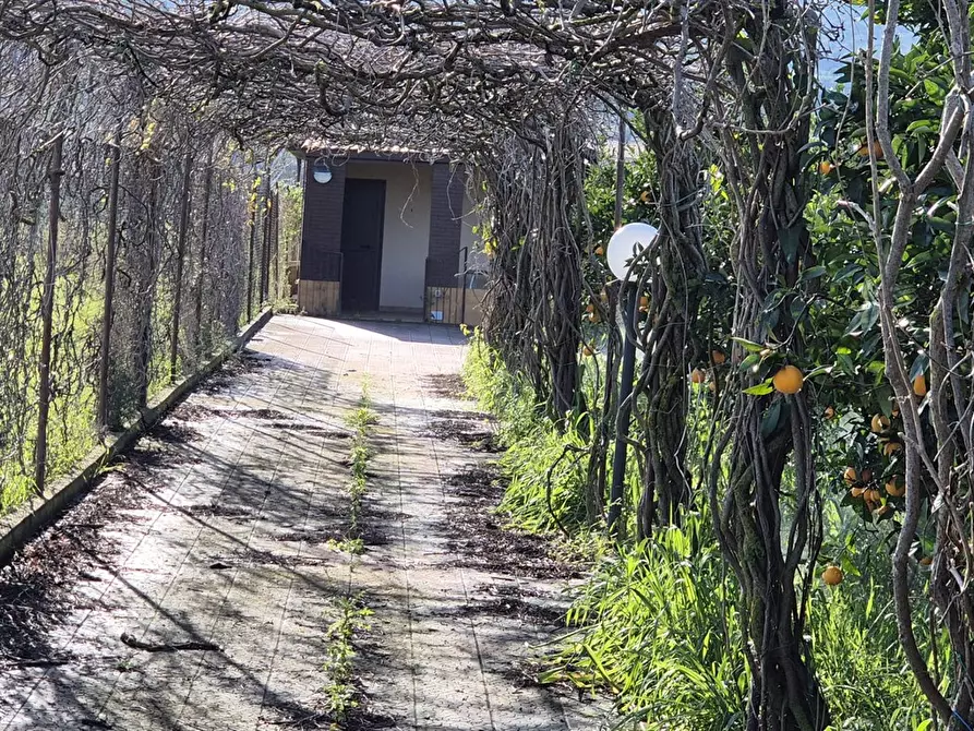 Immagine 2 di Terreno agricolo in vendita  in Piana Calzata 1 a Campofelice Di Roccella
