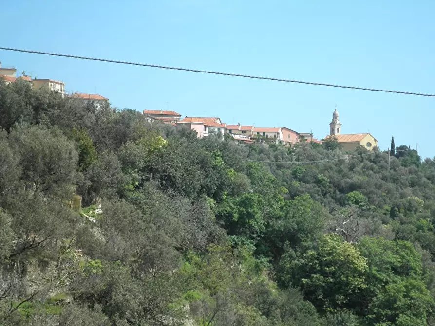 Immagine 5 di Rustico / casale in vendita  a Alassio