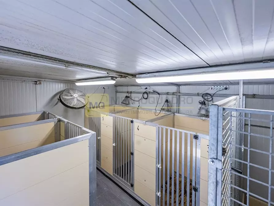 Immagine 6 di Azienda agricola in vendita  in via zocchi a Samolaco