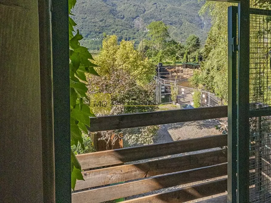 Immagine 9 di Villa in vendita  in via zocchi a Samolaco