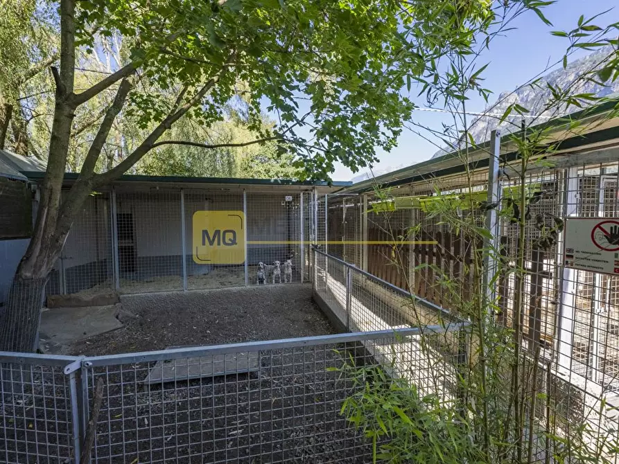 Immagine 3 di Villa in vendita  in via zocchi a Samolaco