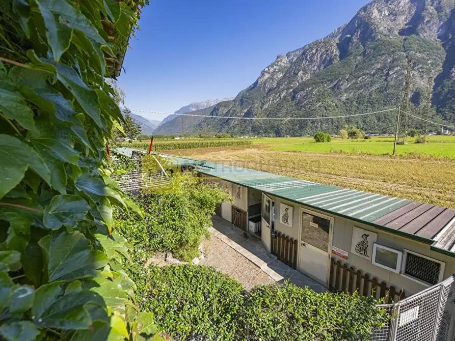 Immagine 1 di Villa in vendita  in via zocchi a Samolaco