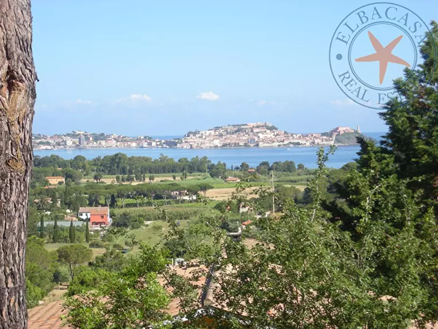 Immagine 6 di Villa in vendita  a Portoferraio