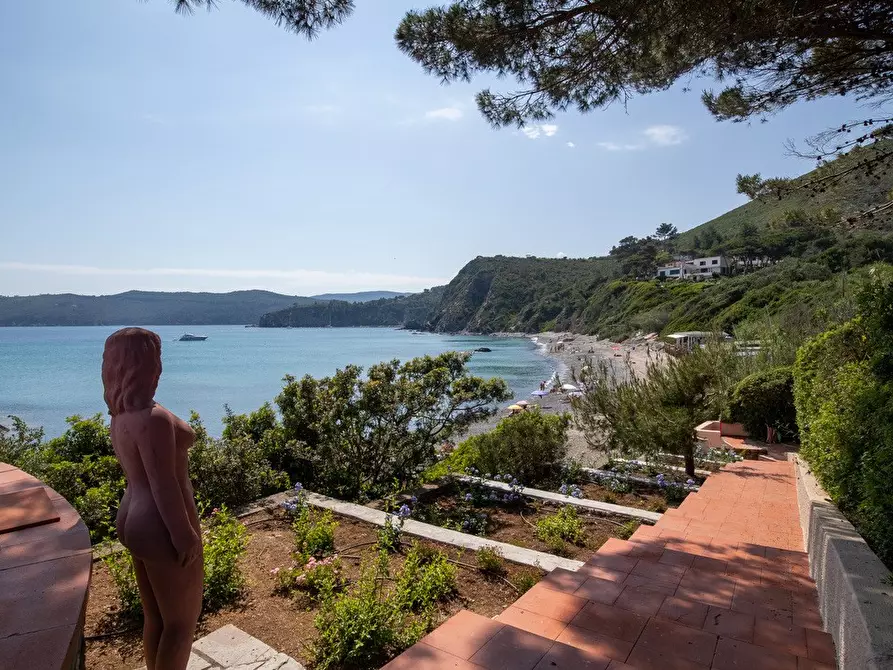 Immagine 8 di Villa in affitto  in Via Norsi 12 a Capoliveri