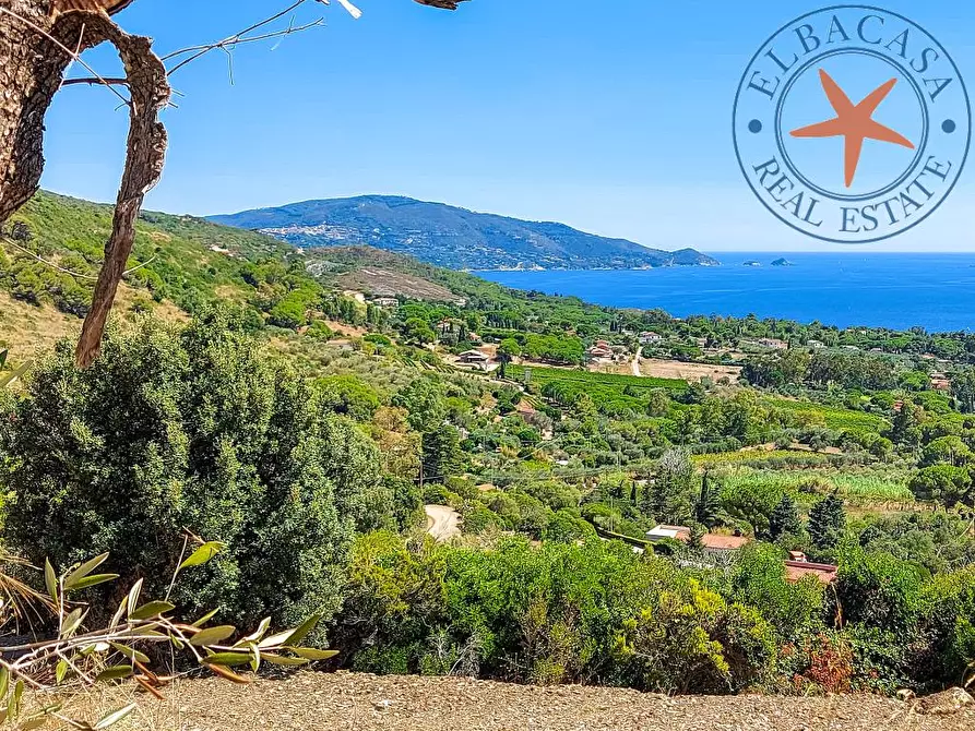 Immagine 4 di Villa in vendita  in via fichi snc a Capoliveri