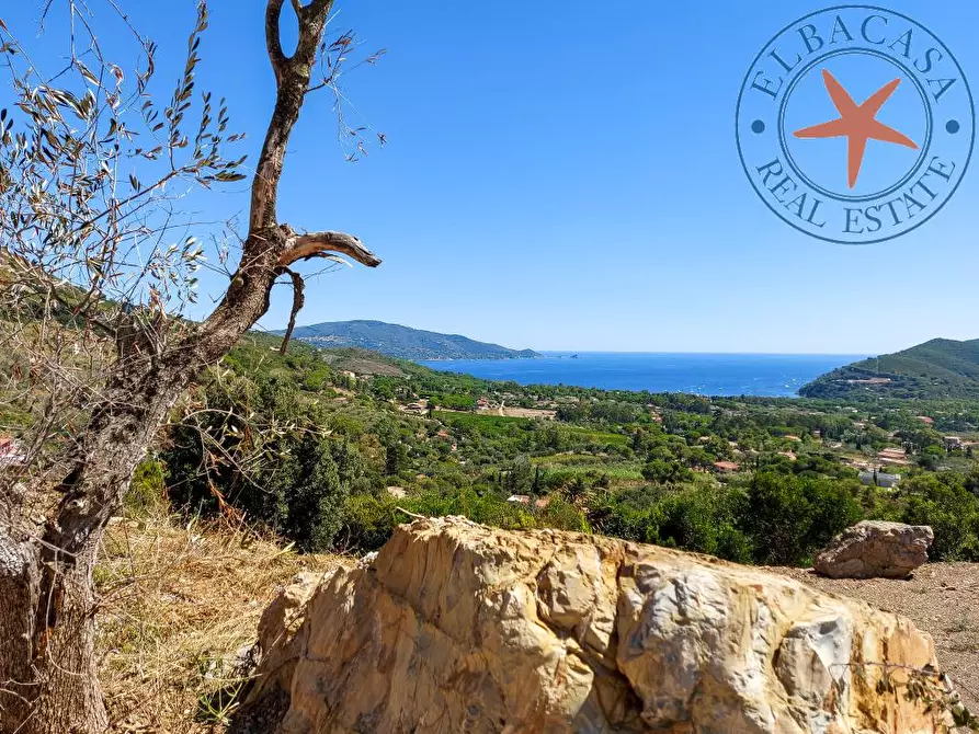 Immagine 6 di Villa in vendita  in via fichi snc a Capoliveri