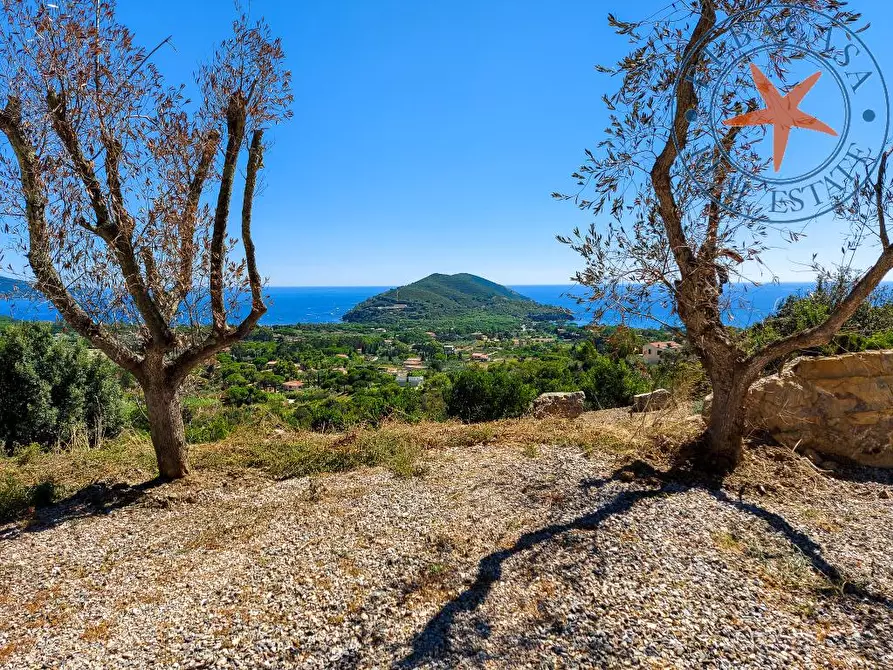 Immagine 5 di Villa in vendita  in via fichi snc a Capoliveri