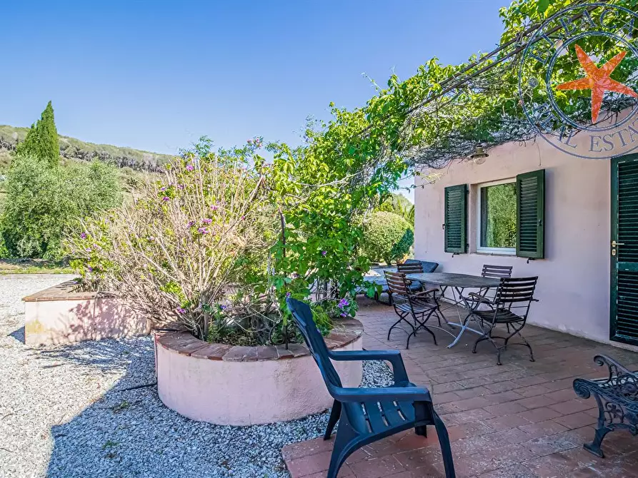 Immagine 7 di Appartamento in vendita  a Porto Azzurro