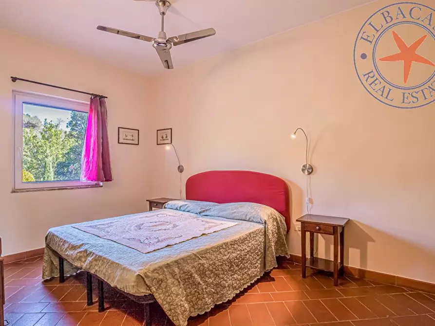 Immagine 7 di Appartamento in vendita  a Porto Azzurro