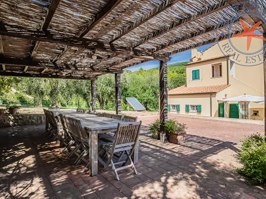 Immagine 5 di Azienda agricola in vendita  a Portoferraio