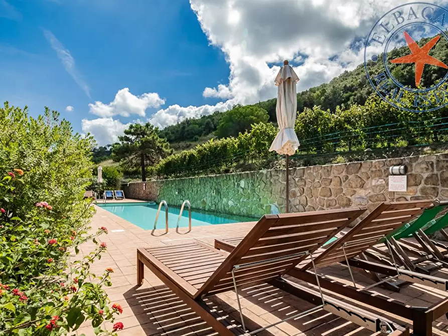 Immagine 2 di Azienda agricola in vendita  a Portoferraio