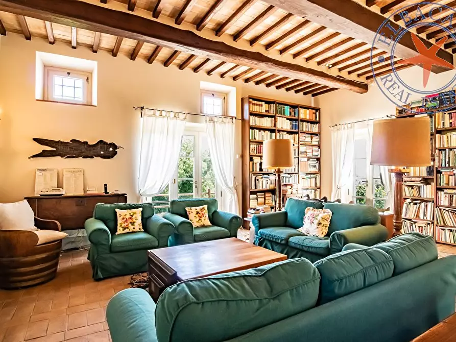 Immagine 9 di Azienda agricola in vendita  a Portoferraio