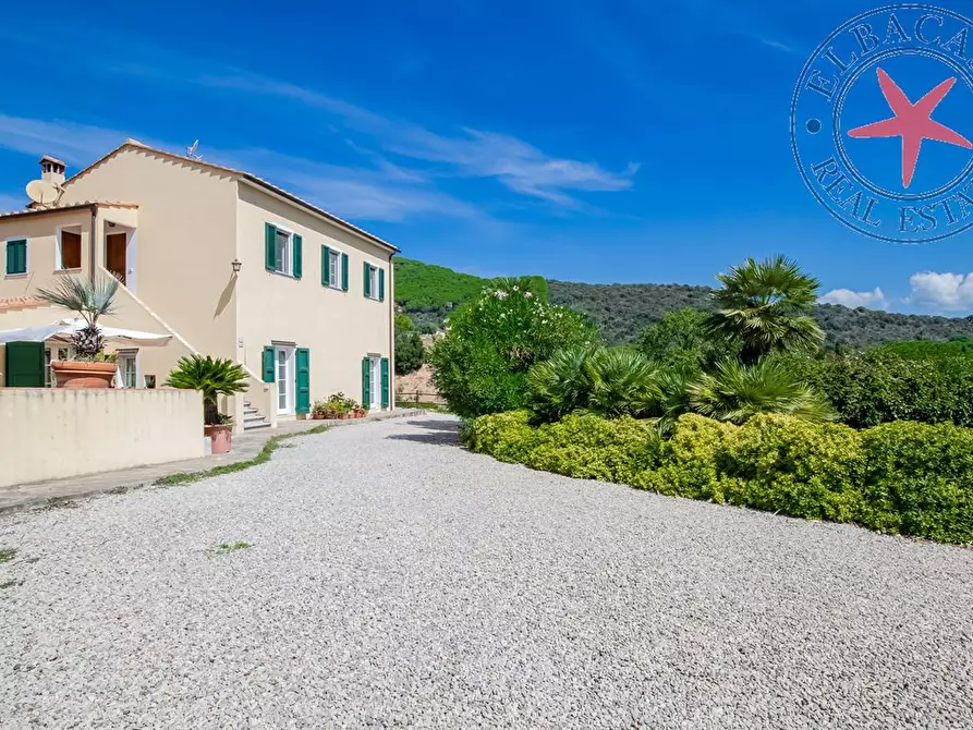 Immagine 6 di Azienda agricola in vendita  a Portoferraio