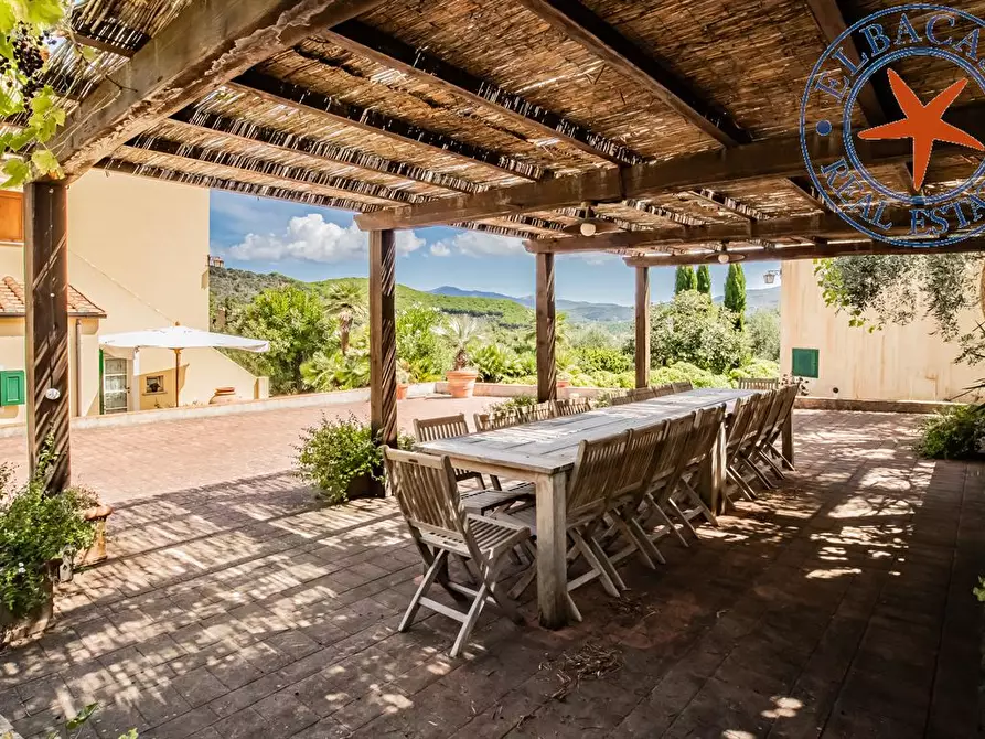 Immagine 4 di Azienda agricola in vendita  a Portoferraio