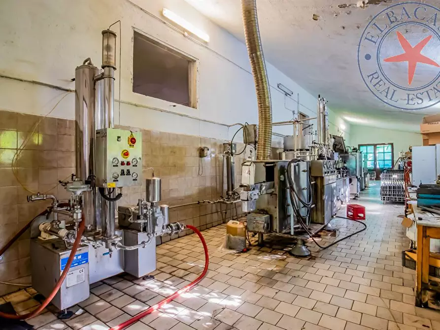 Immagine 8 di Casa indipendente in vendita  a Marciana Marina