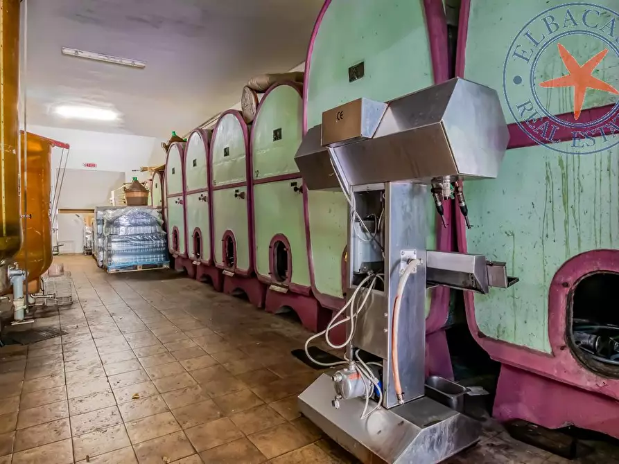 Immagine 7 di Casa indipendente in vendita  a Marciana Marina